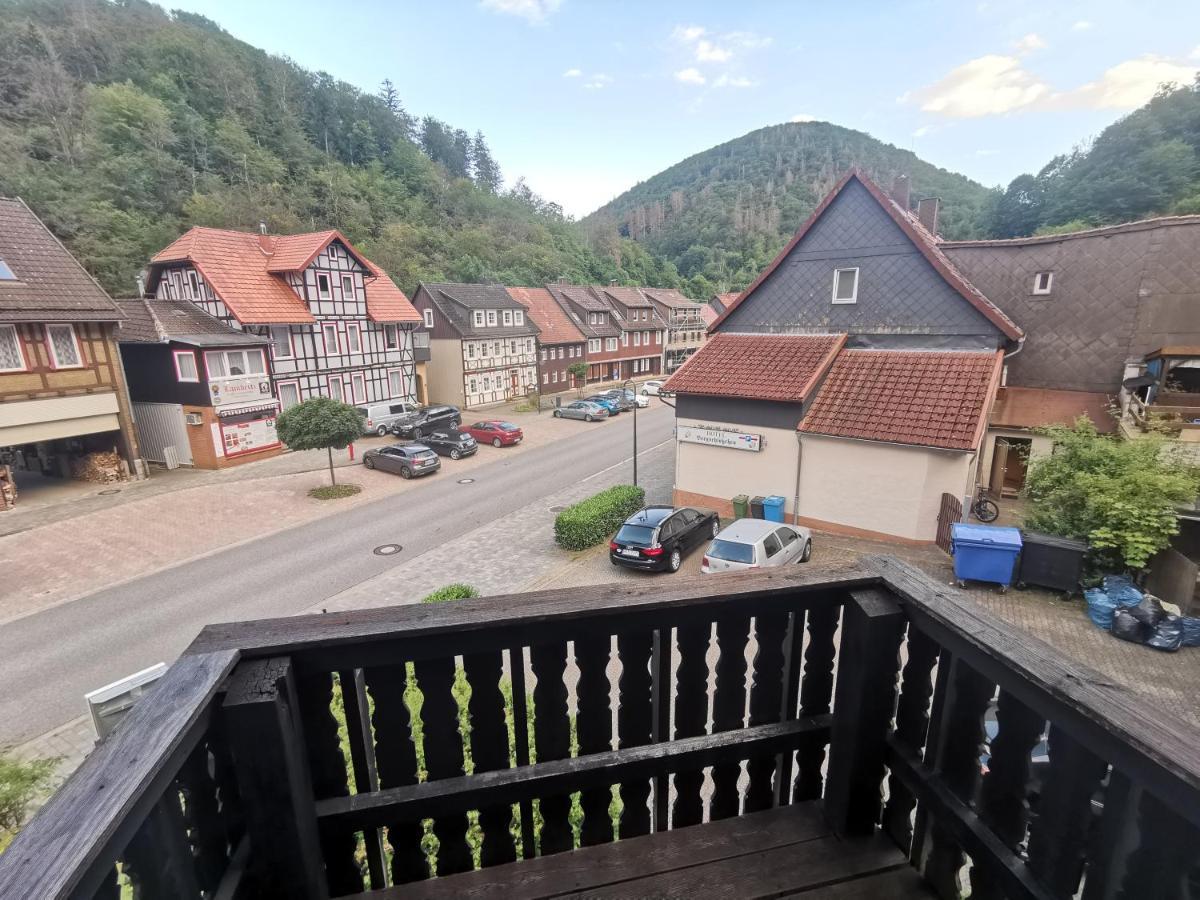 Hotel And Restaurant Bergschloesschen Zorge エクステリア 写真