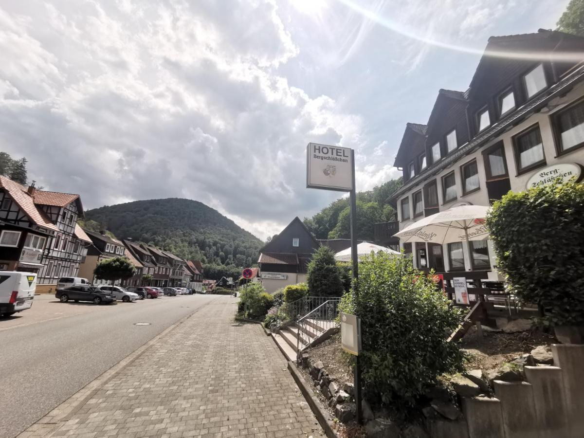 Hotel And Restaurant Bergschloesschen Zorge エクステリア 写真