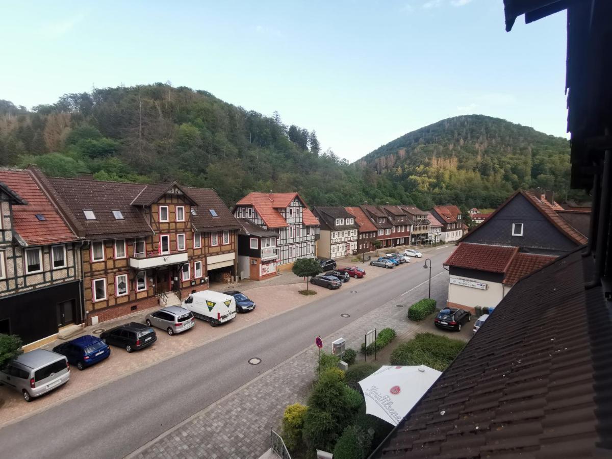 Hotel And Restaurant Bergschloesschen Zorge エクステリア 写真