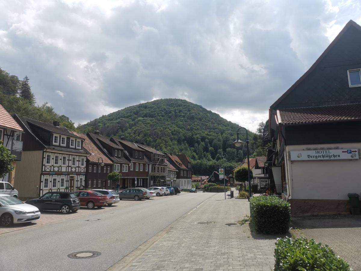 Hotel And Restaurant Bergschloesschen Zorge エクステリア 写真