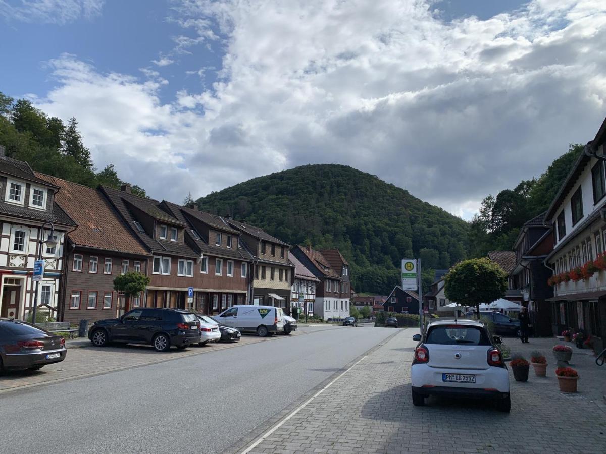 Hotel And Restaurant Bergschloesschen Zorge エクステリア 写真