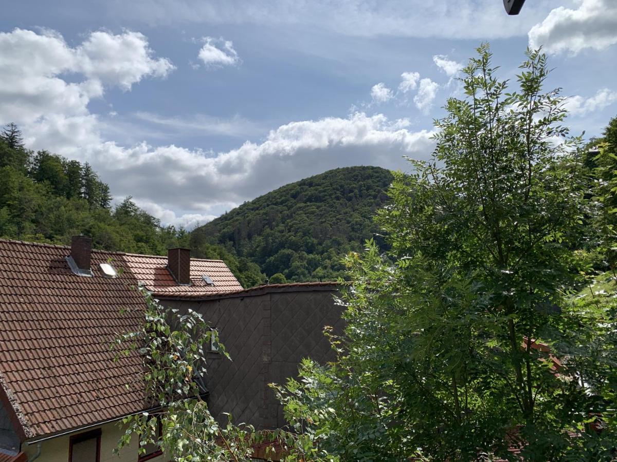 Hotel And Restaurant Bergschloesschen Zorge エクステリア 写真