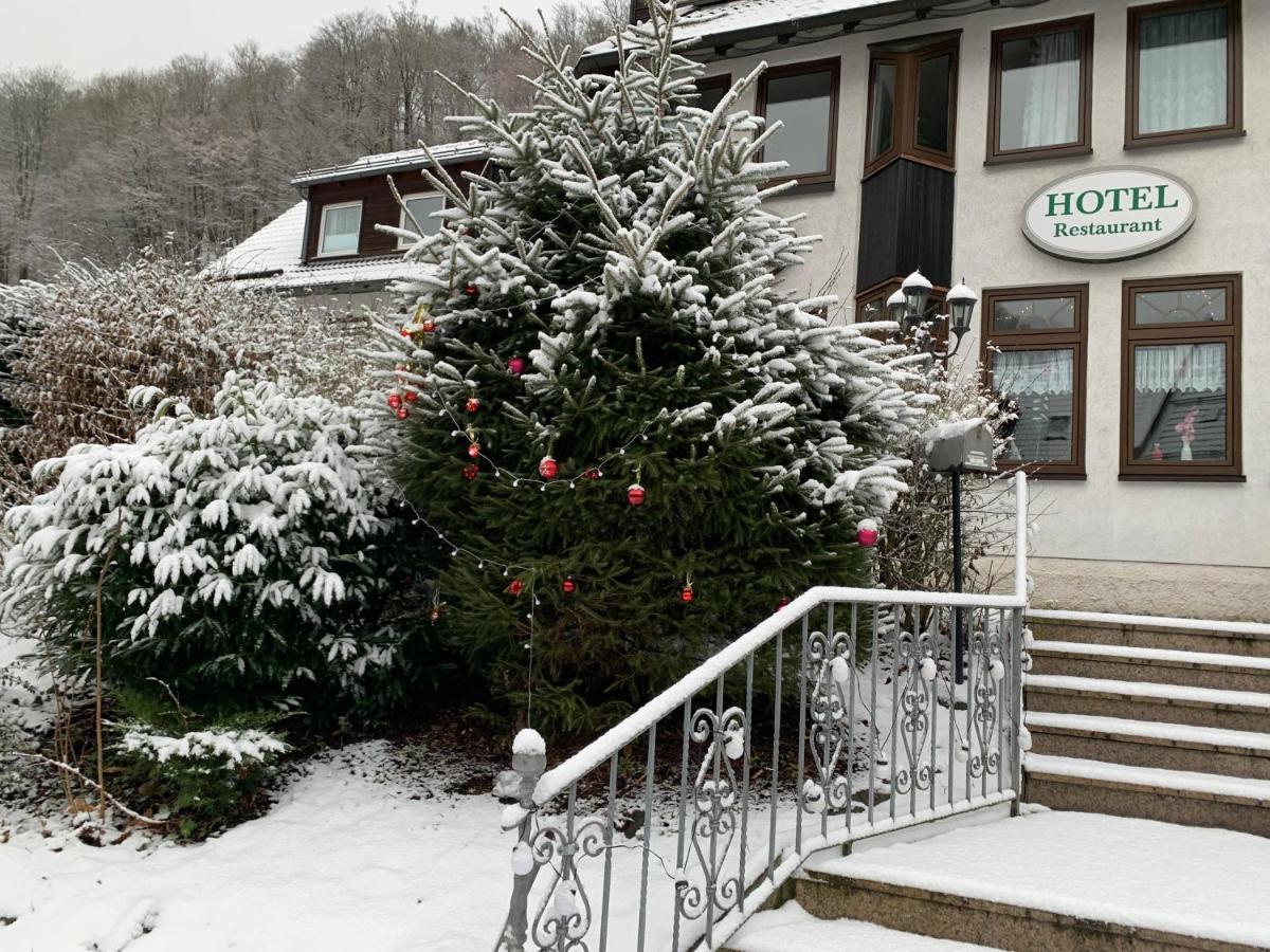 Hotel And Restaurant Bergschloesschen Zorge エクステリア 写真